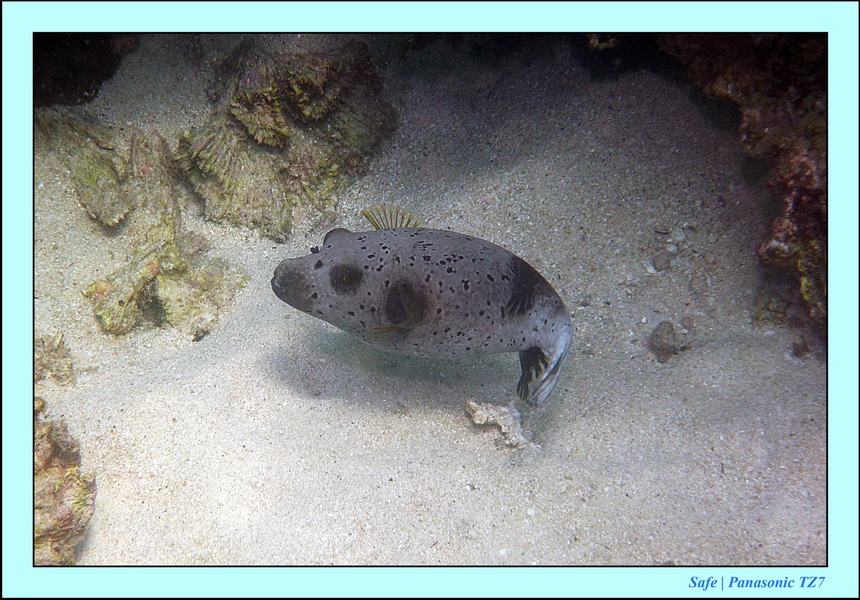 2011 - 07 - Koh Lipe 50